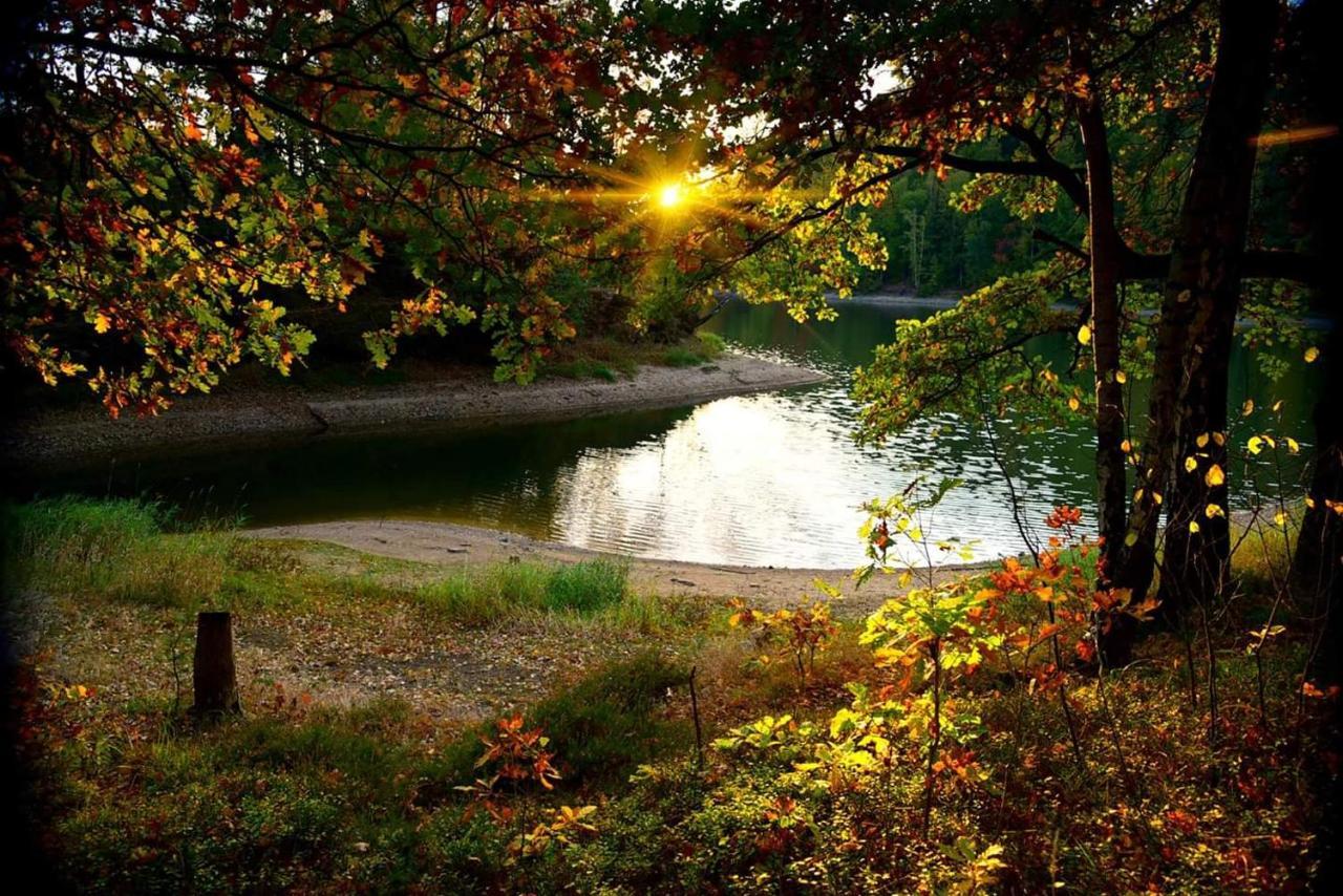 Agroturystyka U Kozdryka Leśna Exterior foto